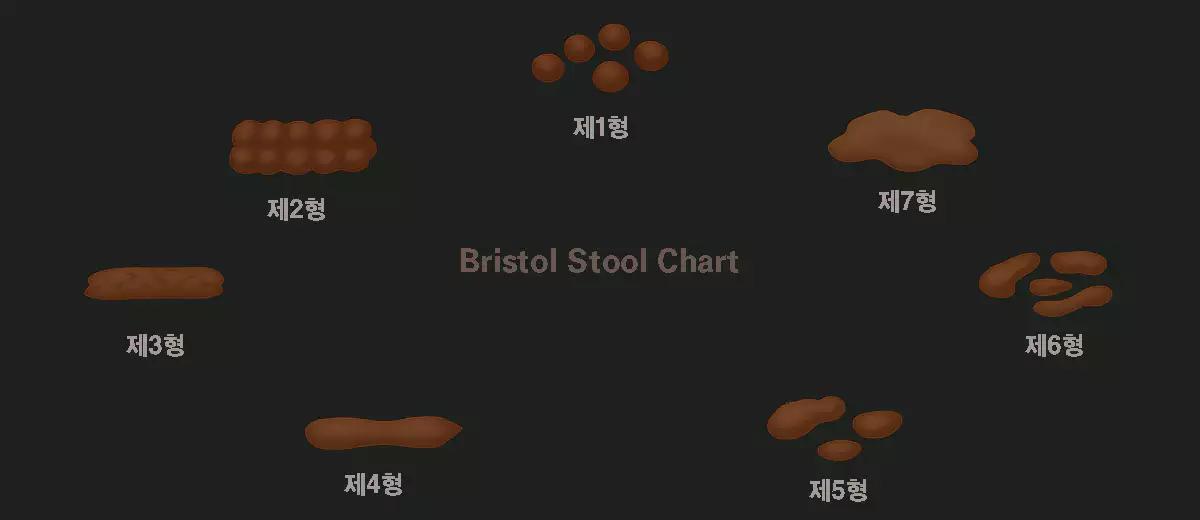 Bristol Stool Chart